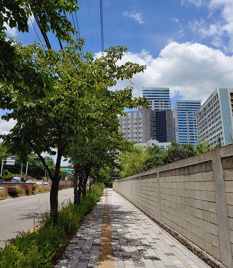 street with wall and buildings in background